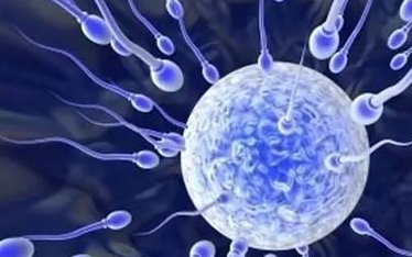 多囊去莆田学院附属医院做三代试管需要花费多少钱？费用明细是怎么样的？