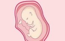 2026潮州试管婴儿医院排名，附成功率及费用介绍